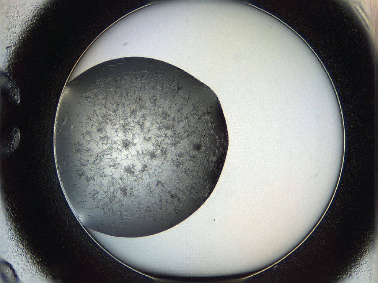05yb_C9_ImagerDefaults_6.jpg