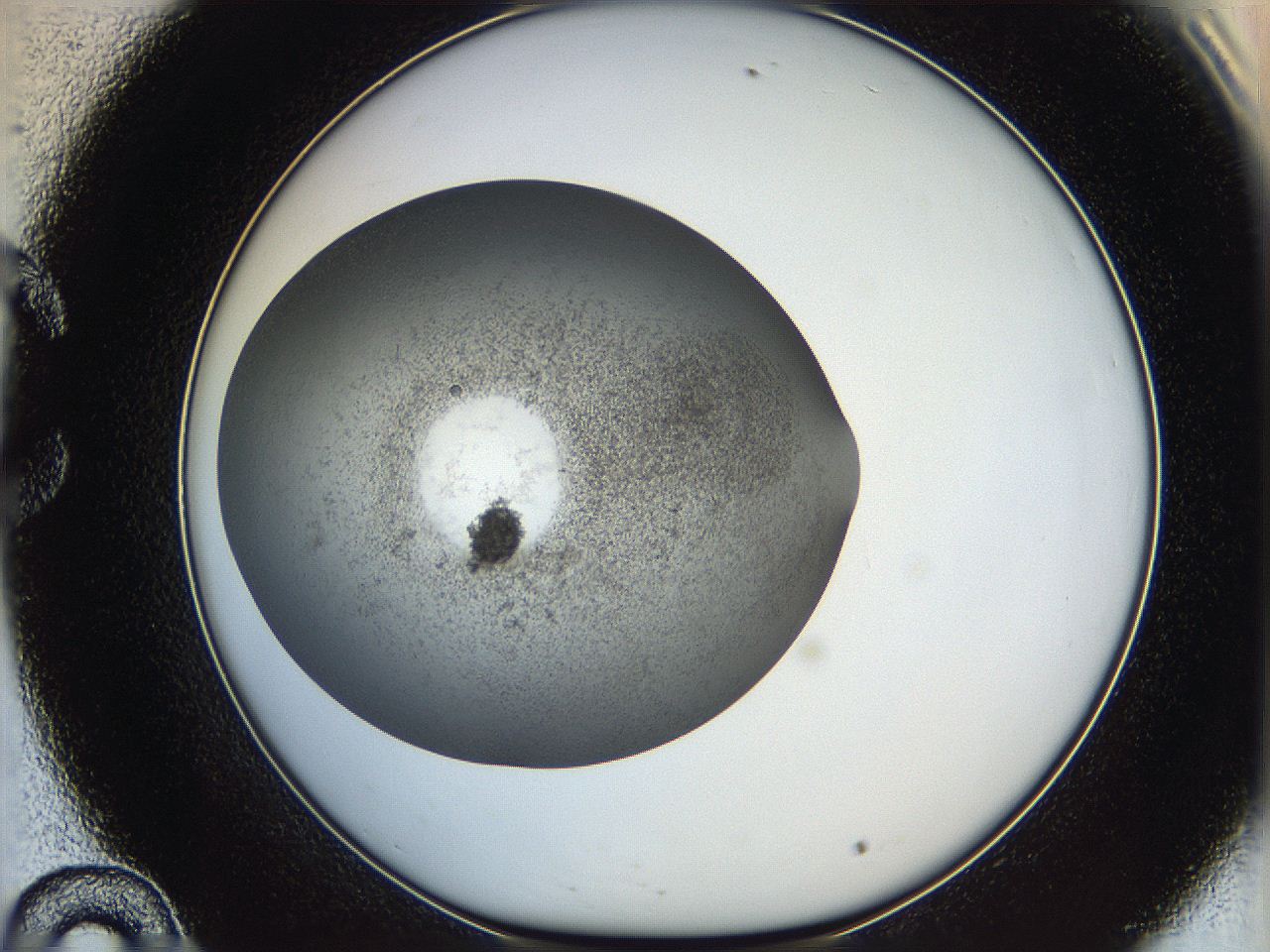 05yb_C10_ImagerDefaults_6.jpg