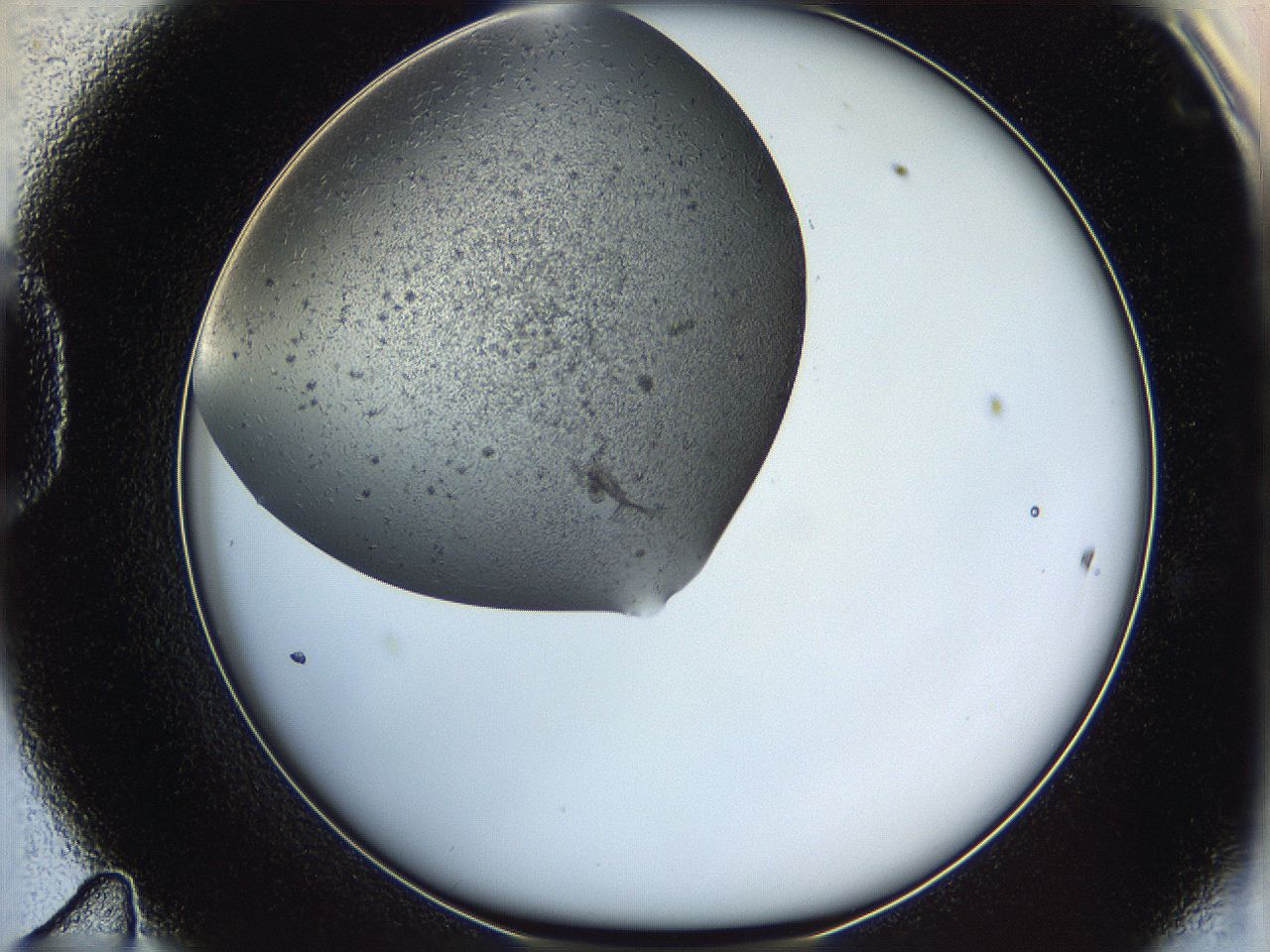 05yb_D11_ImagerDefaults_6.jpg
