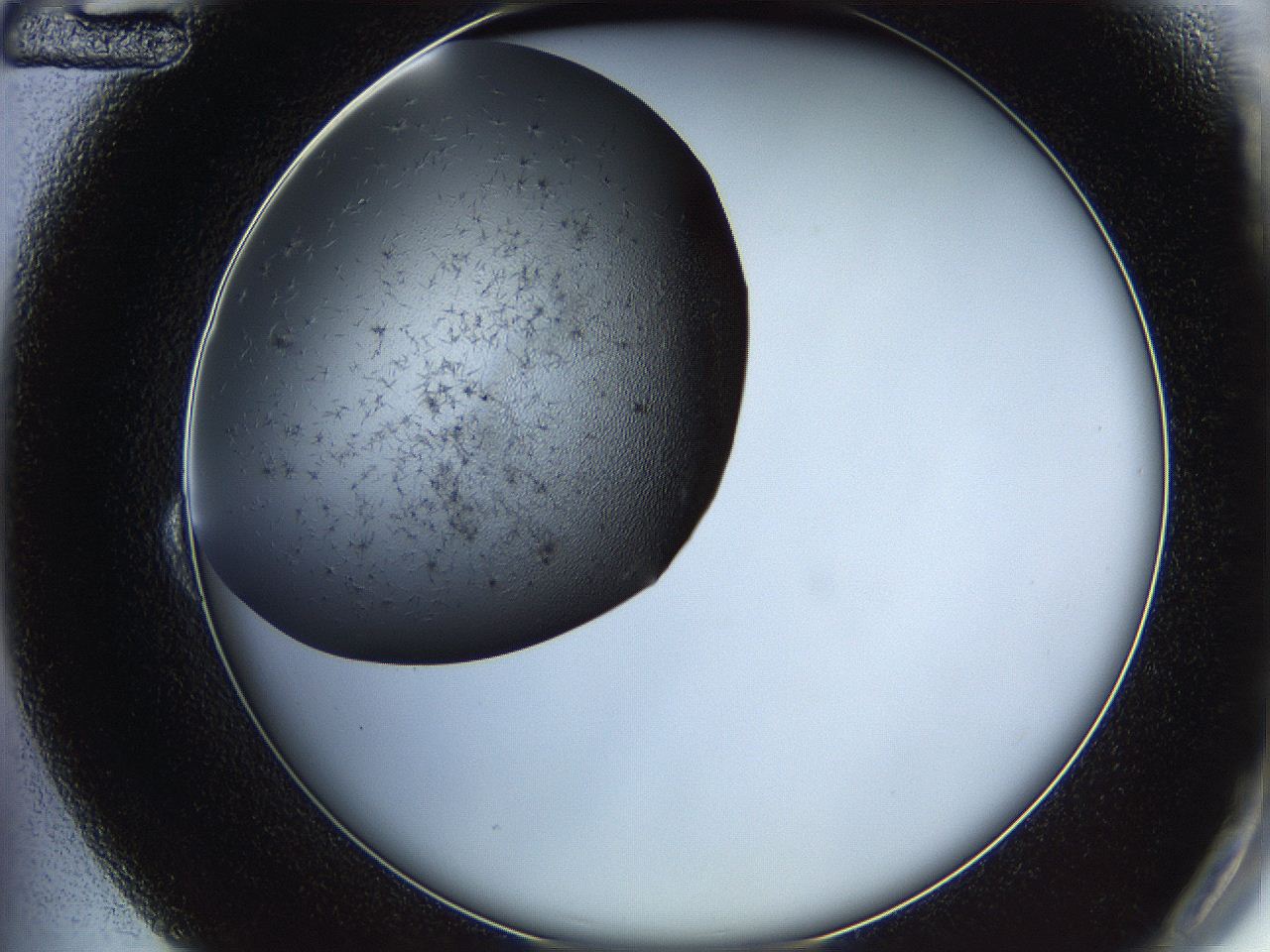 05yb_B12_ImagerDefaults_6.jpg