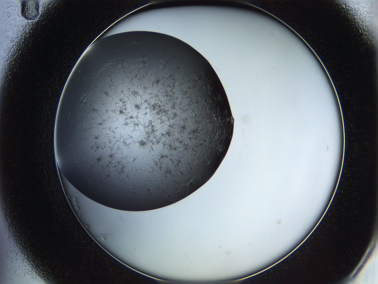 05yb_B11_ImagerDefaults_7.jpg