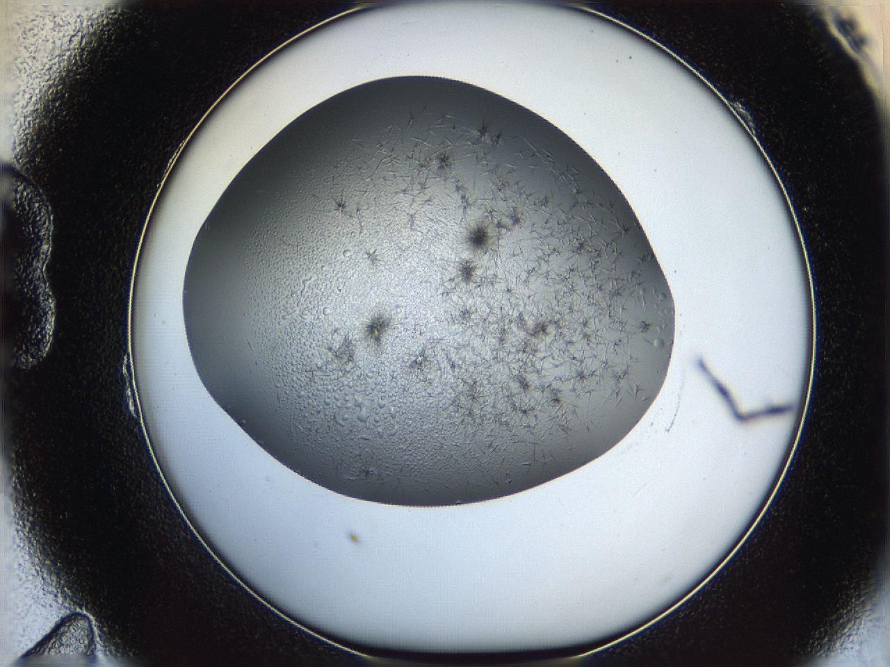 05yb_B11_ImagerDefaults_6.jpg