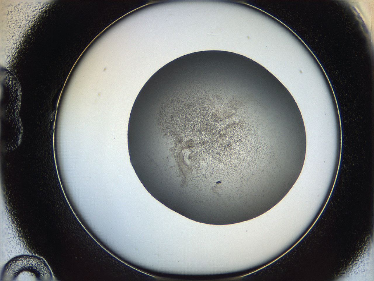 05yb_B10_ImagerDefaults_6.jpg