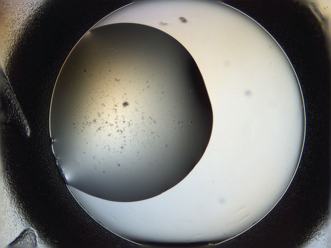 05yb_A11_ImagerDefaults_6.jpg