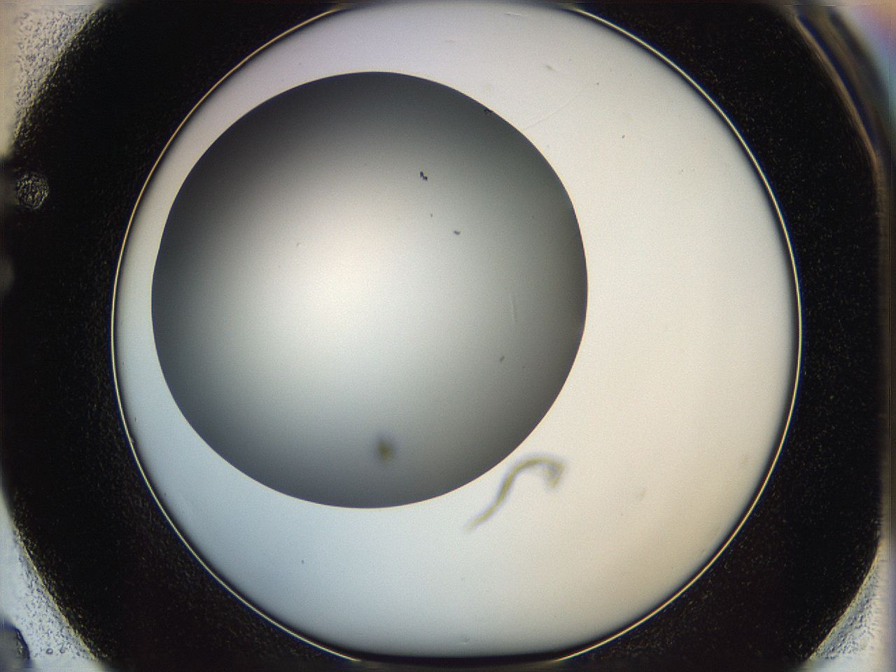 05yb_F2_ImagerDefaults_0.jpg