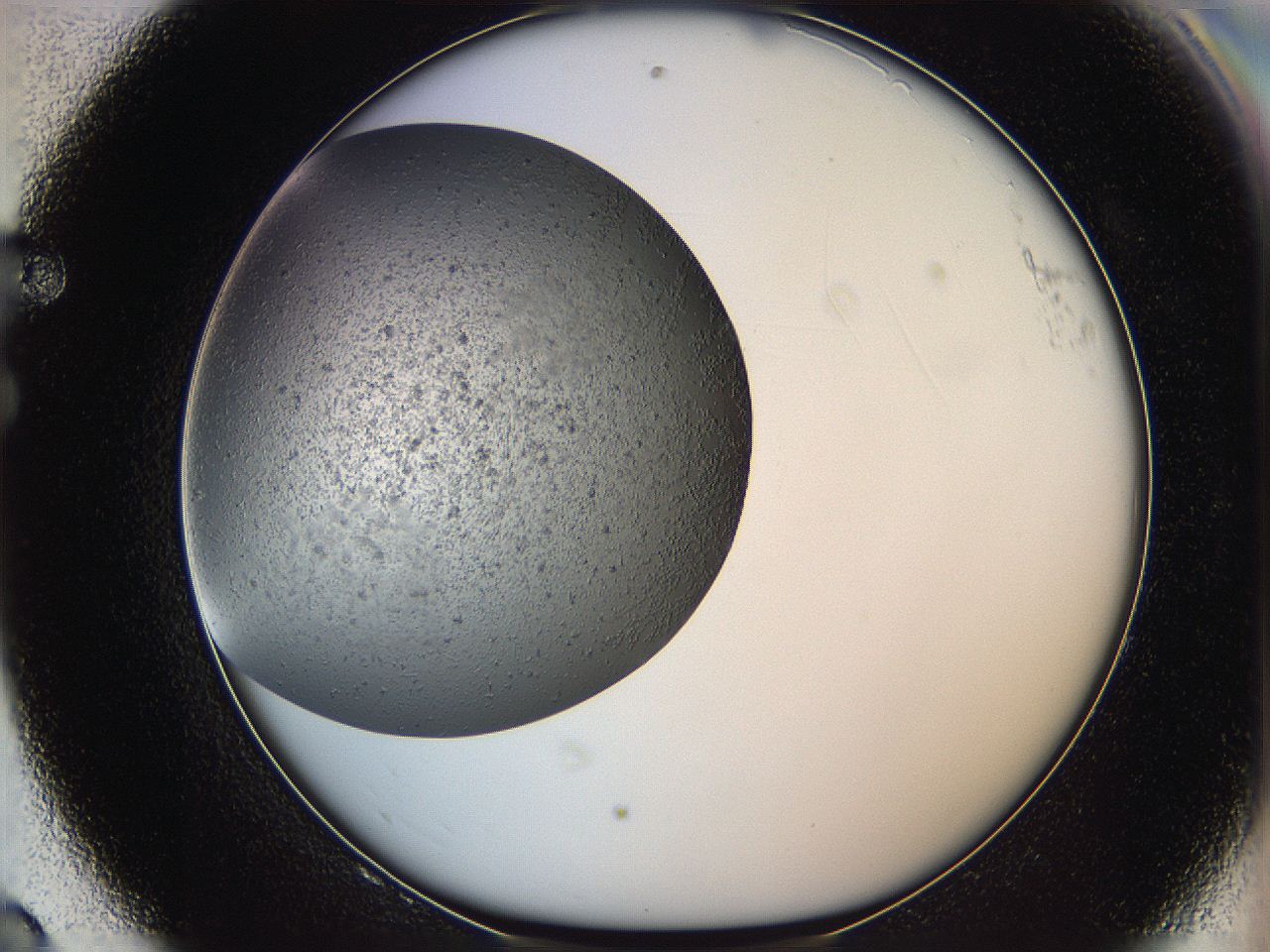 05yb_F8_ImagerDefaults_6.jpg