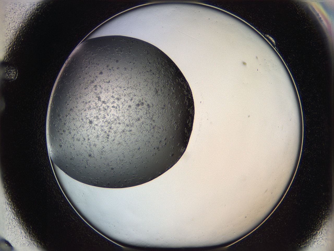 05yb_F9_ImagerDefaults_6.jpg