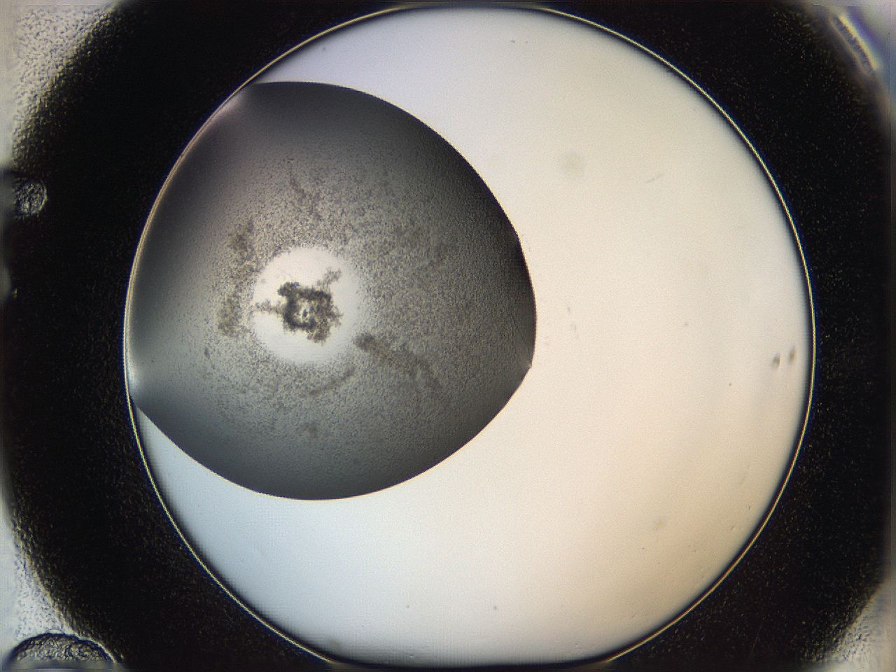 05yb_F10_ImagerDefaults_6.jpg