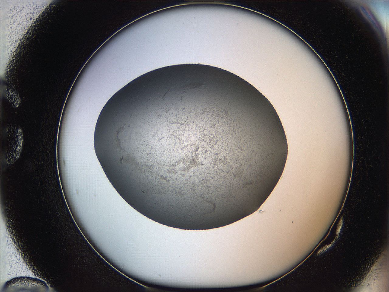 05yb_G10_ImagerDefaults_6.jpg