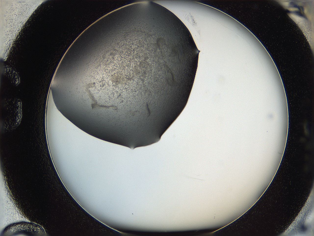 05yb_G12_ImagerDefaults_6.jpg