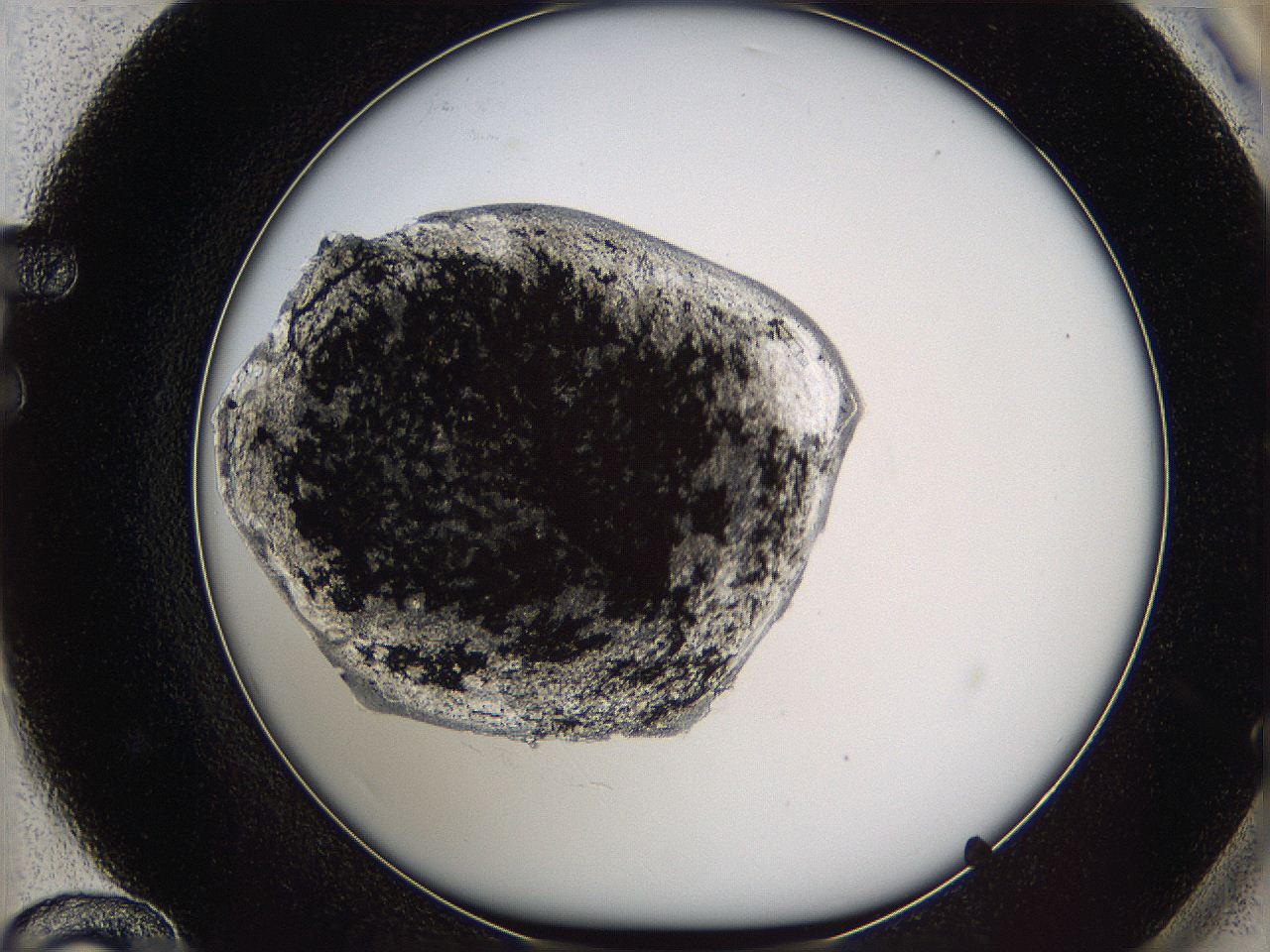 05yc_F12_ImagerDefaults_6.jpg