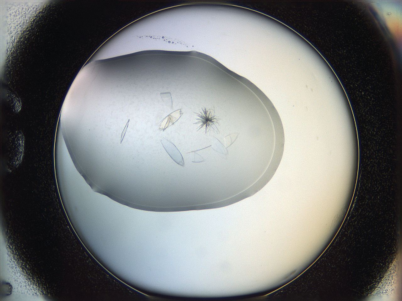 05yc_G5_ImagerDefaults_8.jpg