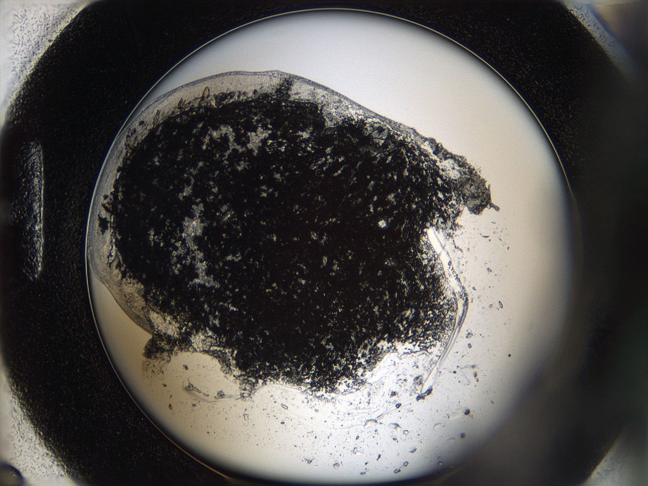 05yc_H6_ImagerDefaults_9.jpg