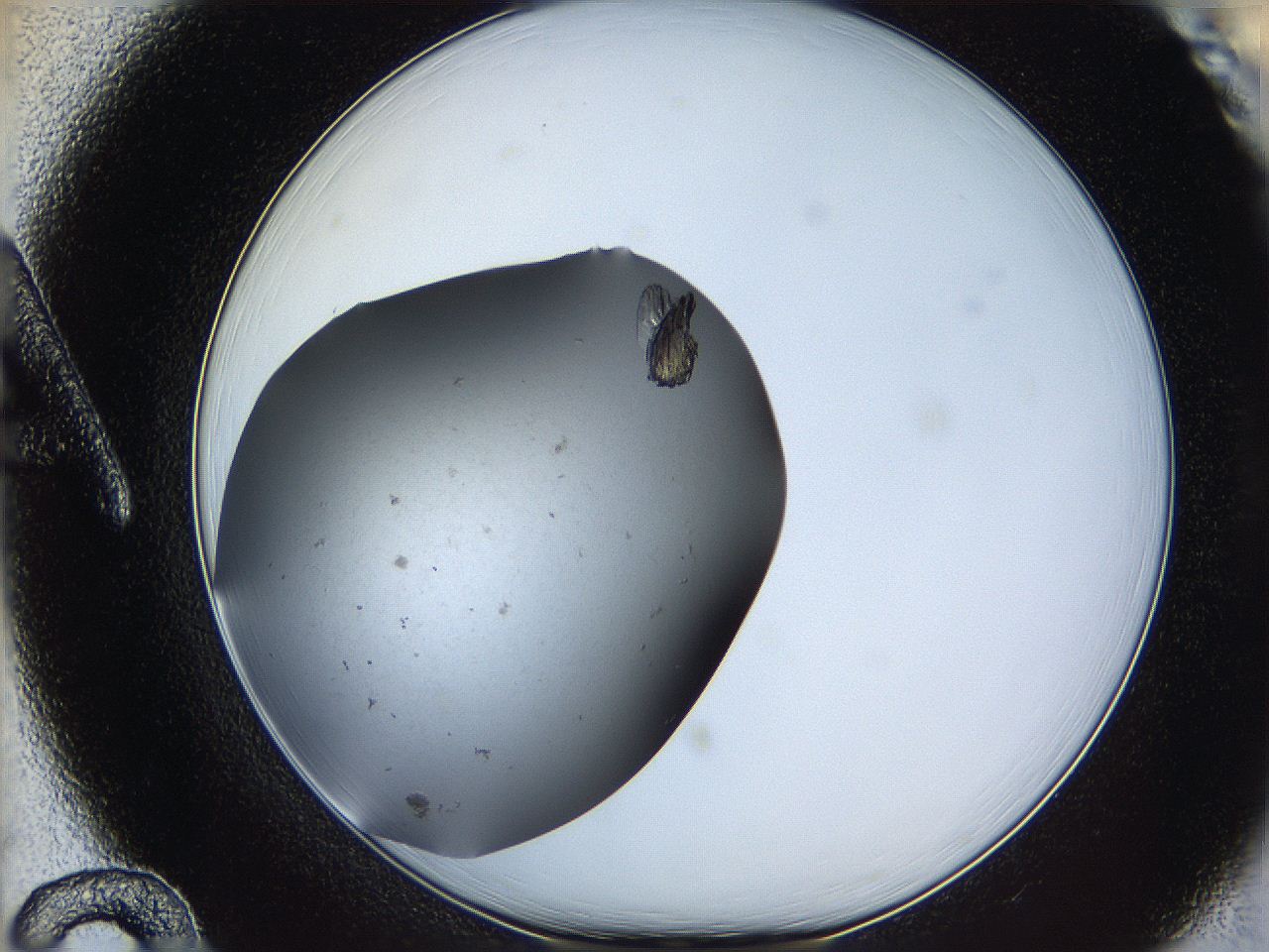 05yc_A12_ImagerDefaults_9.jpg