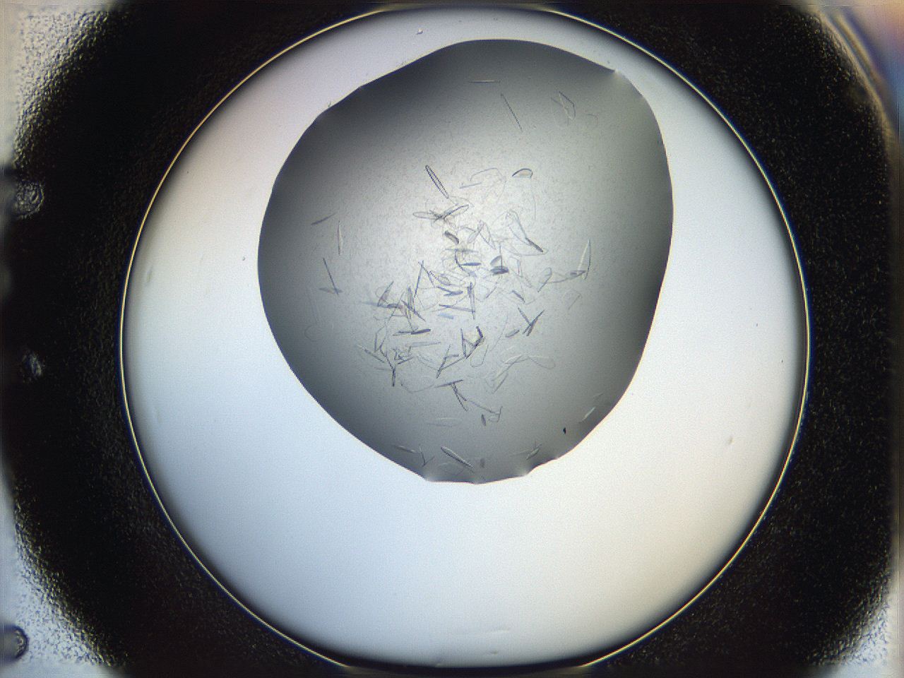 05yc_E5_ImagerDefaults_7.jpg