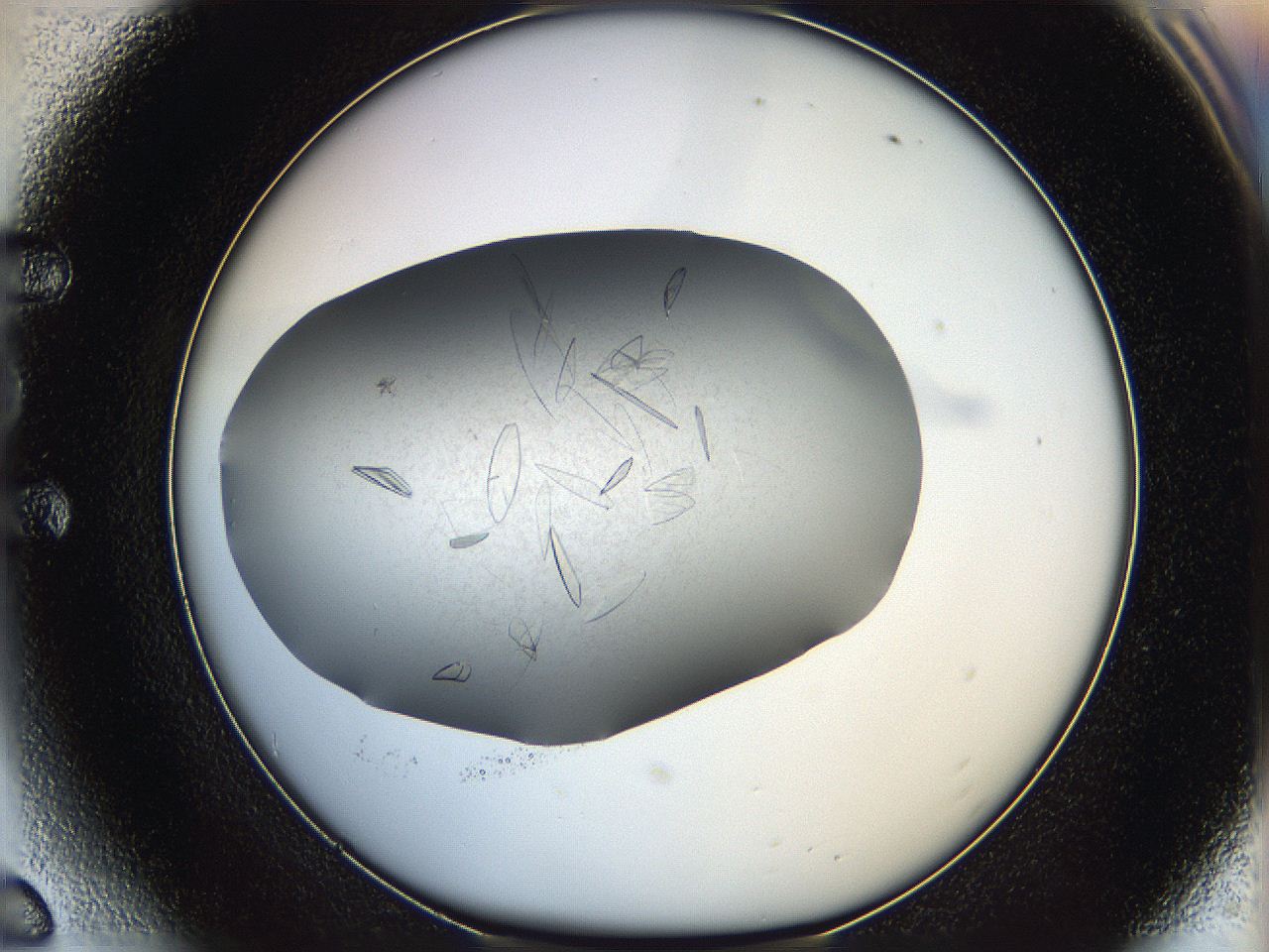 05yc_E6_ImagerDefaults_8.jpg