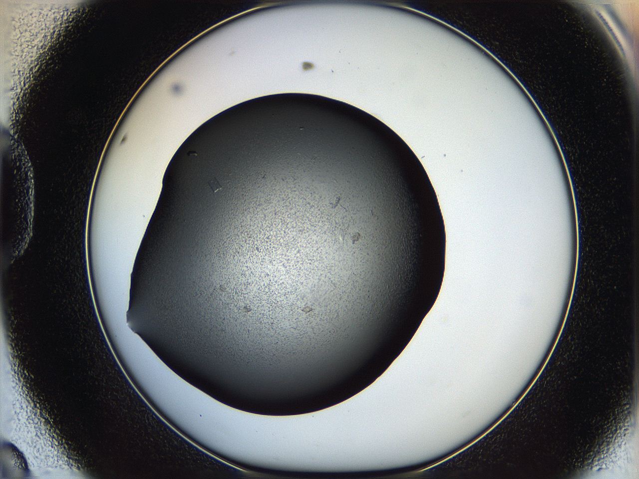 05yj_D8_ImagerDefaults_7.jpg