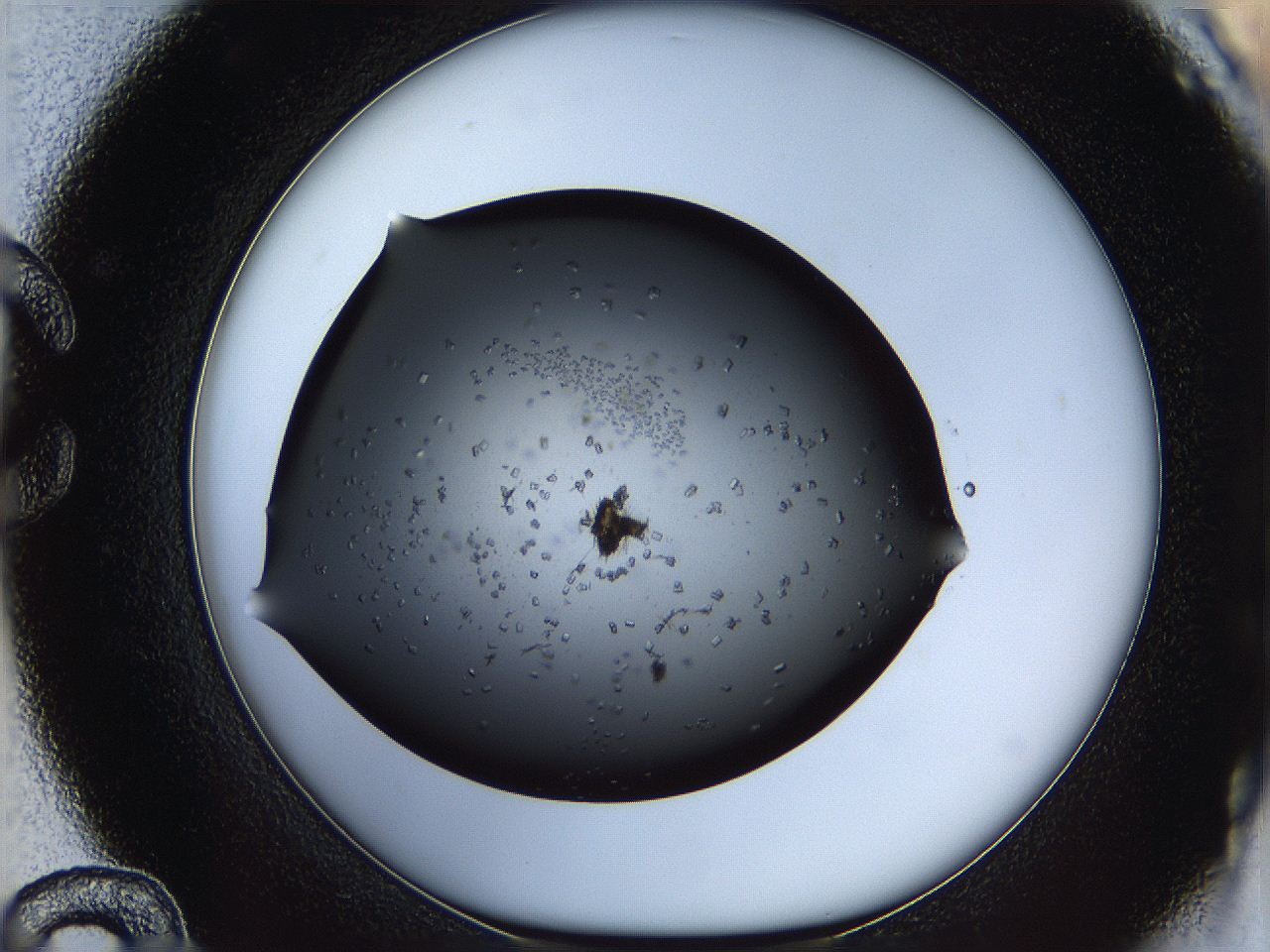 05yj_C12_ImagerDefaults_8.jpg