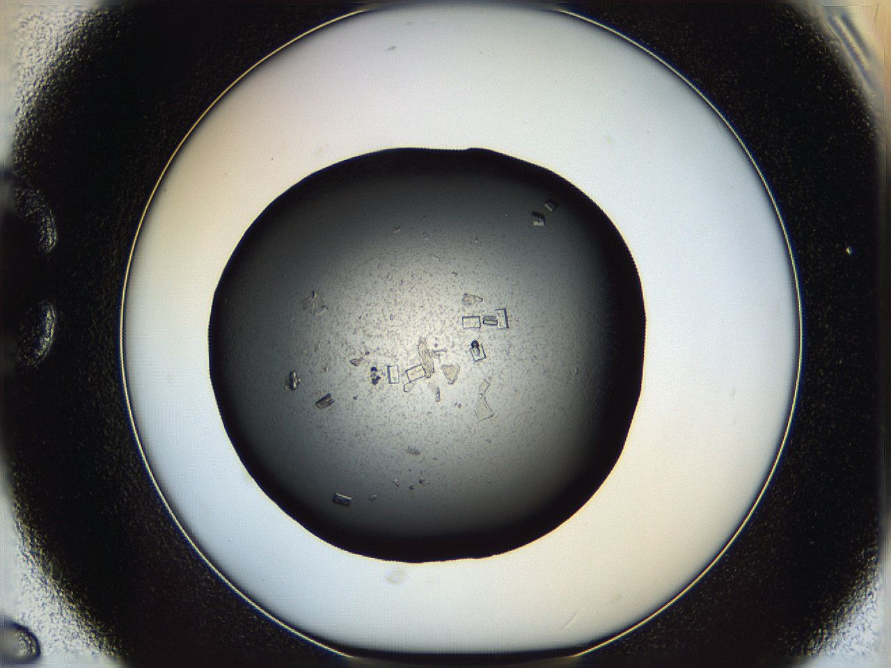 05yj_C6_ImagerDefaults_9.jpg