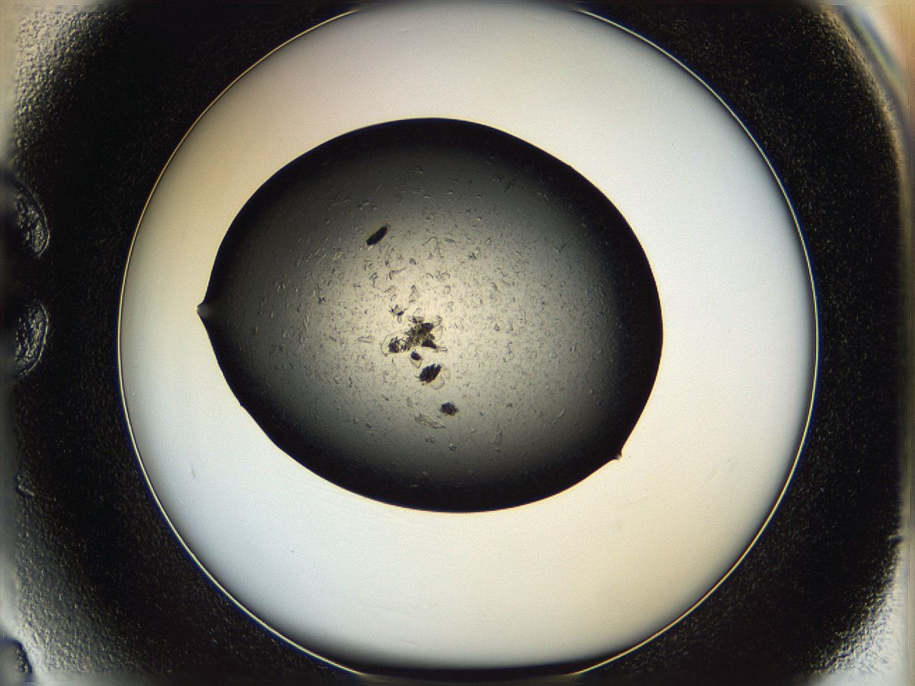 05yj_C3_ImagerDefaults_6.jpg