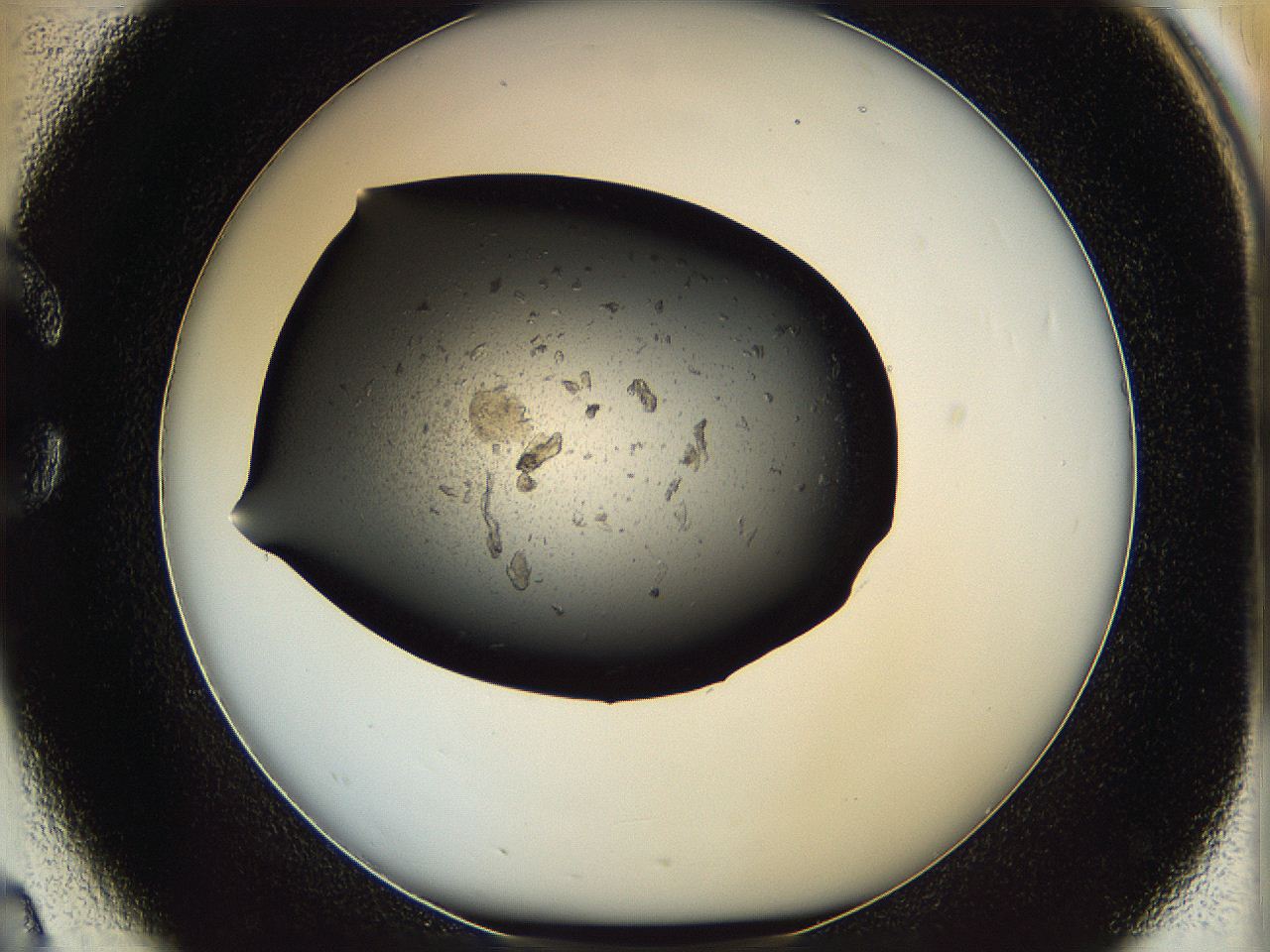 05yj_C2_ImagerDefaults_6.jpg