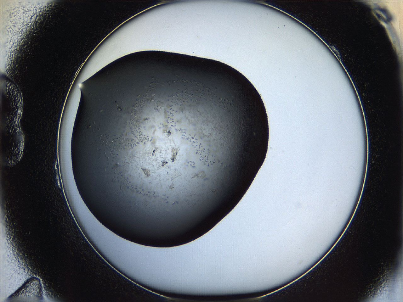05yj_B11_ImagerDefaults_6.jpg