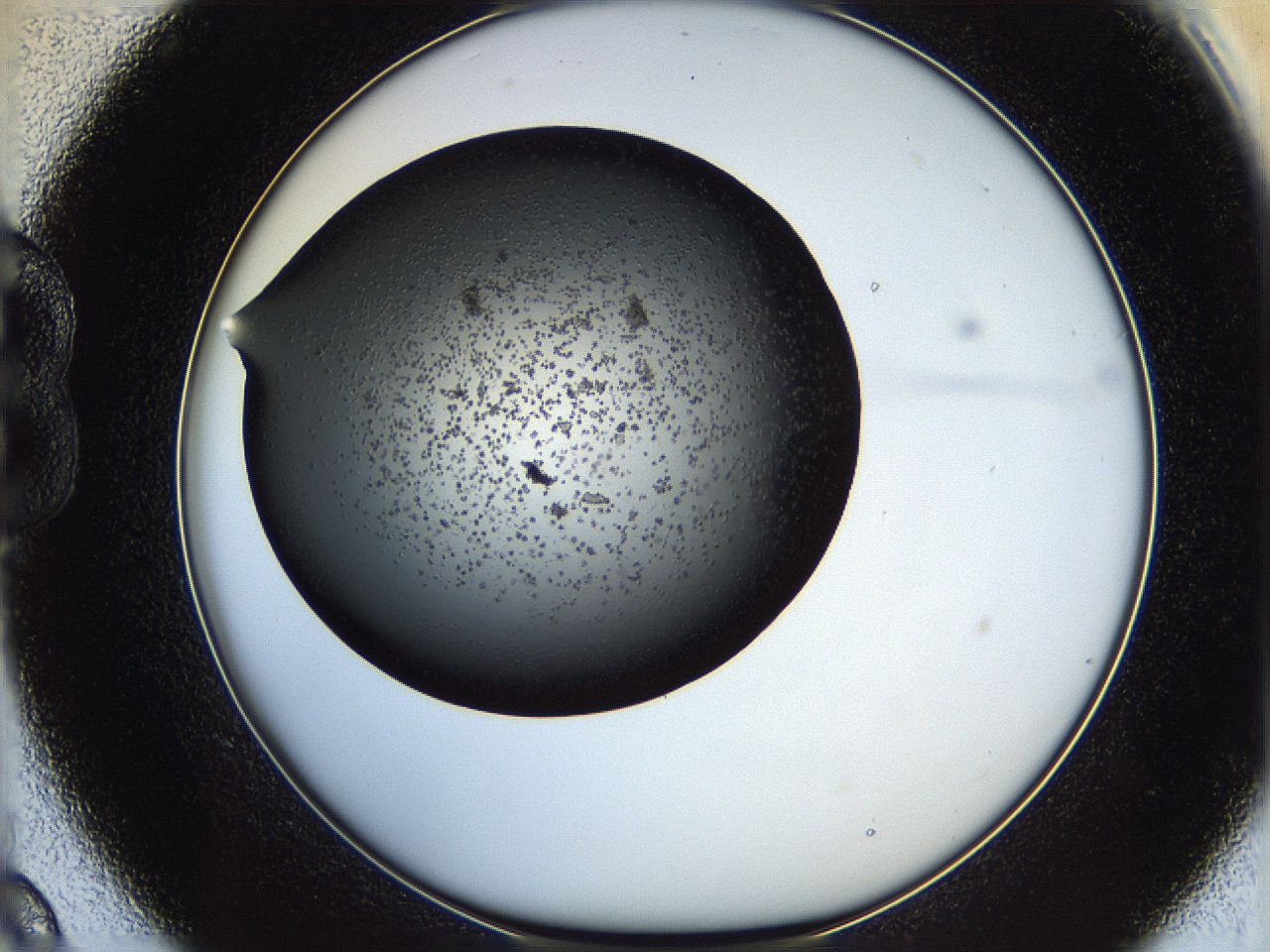 05yj_B9_ImagerDefaults_6.jpg