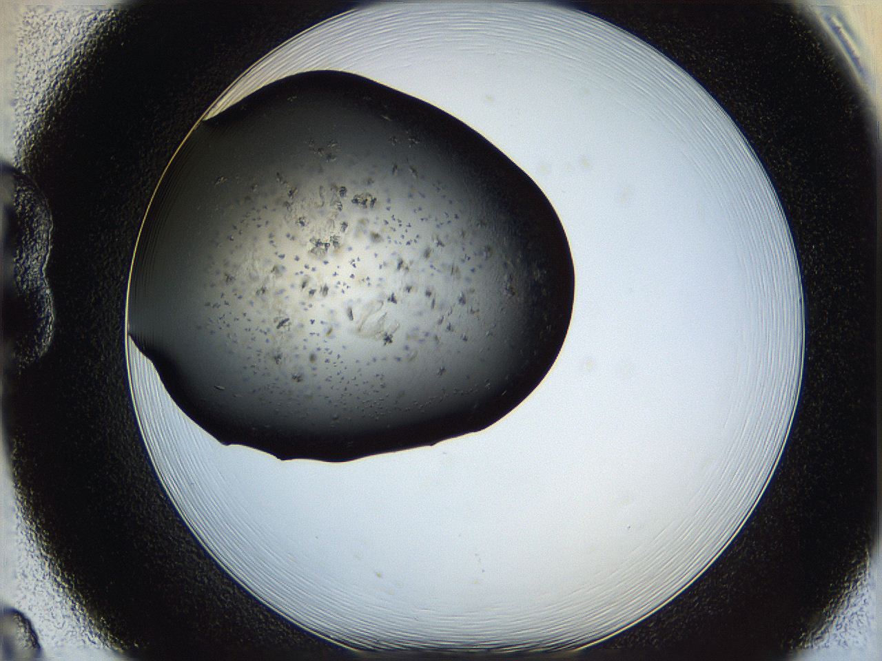 05yj_B8_ImagerDefaults_7.jpg