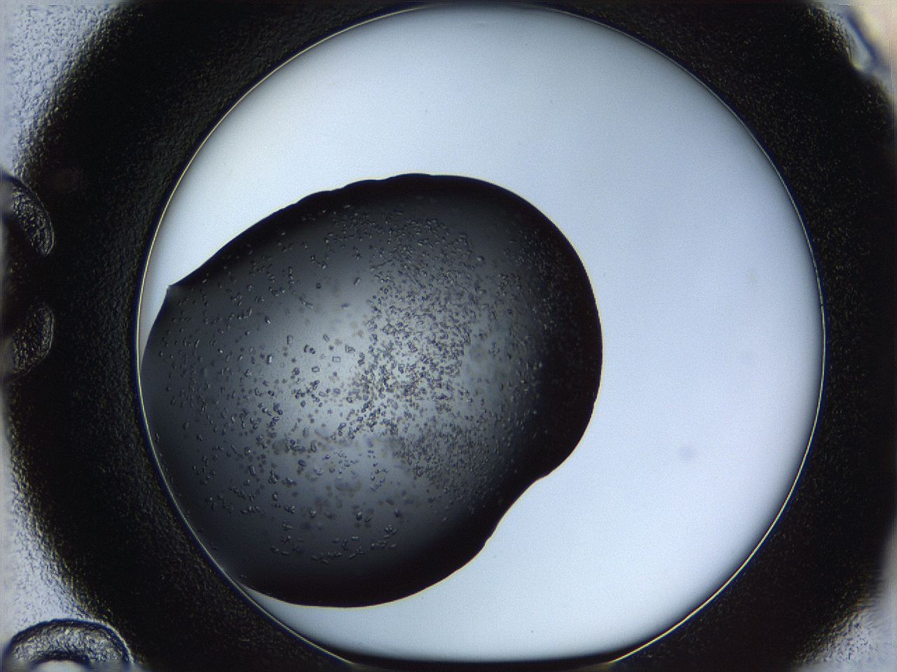 05yk_C12_ImagerDefaults_7.jpg