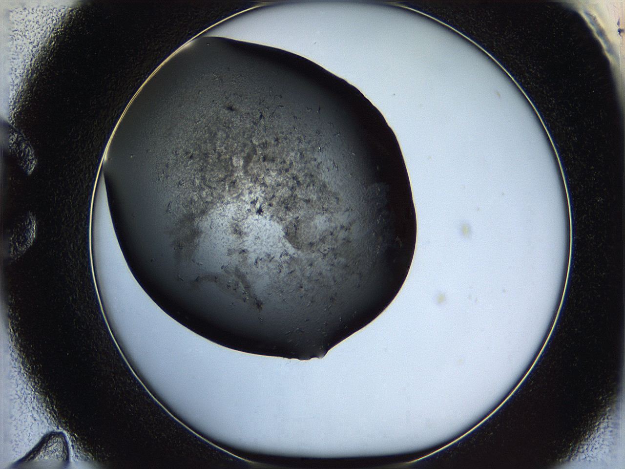05yk_C11_ImagerDefaults_6.jpg