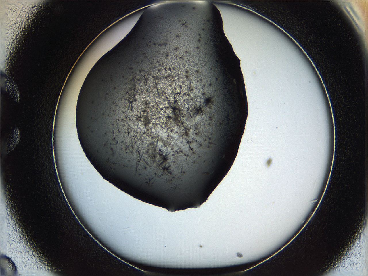 05yk_C8_ImagerDefaults_6.jpg