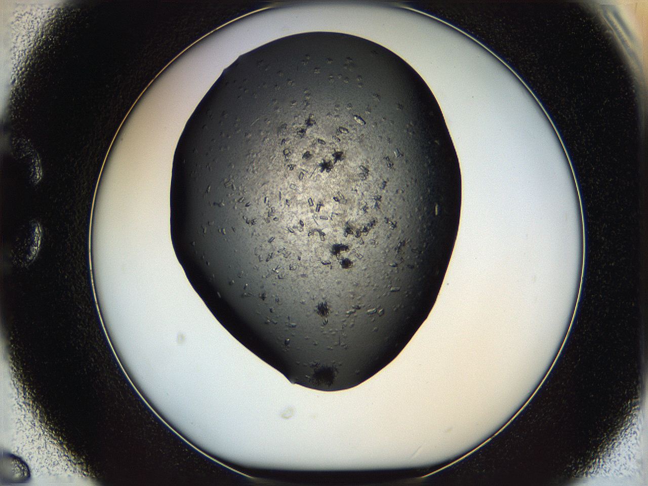 05yk_C6_ImagerDefaults_7.jpg