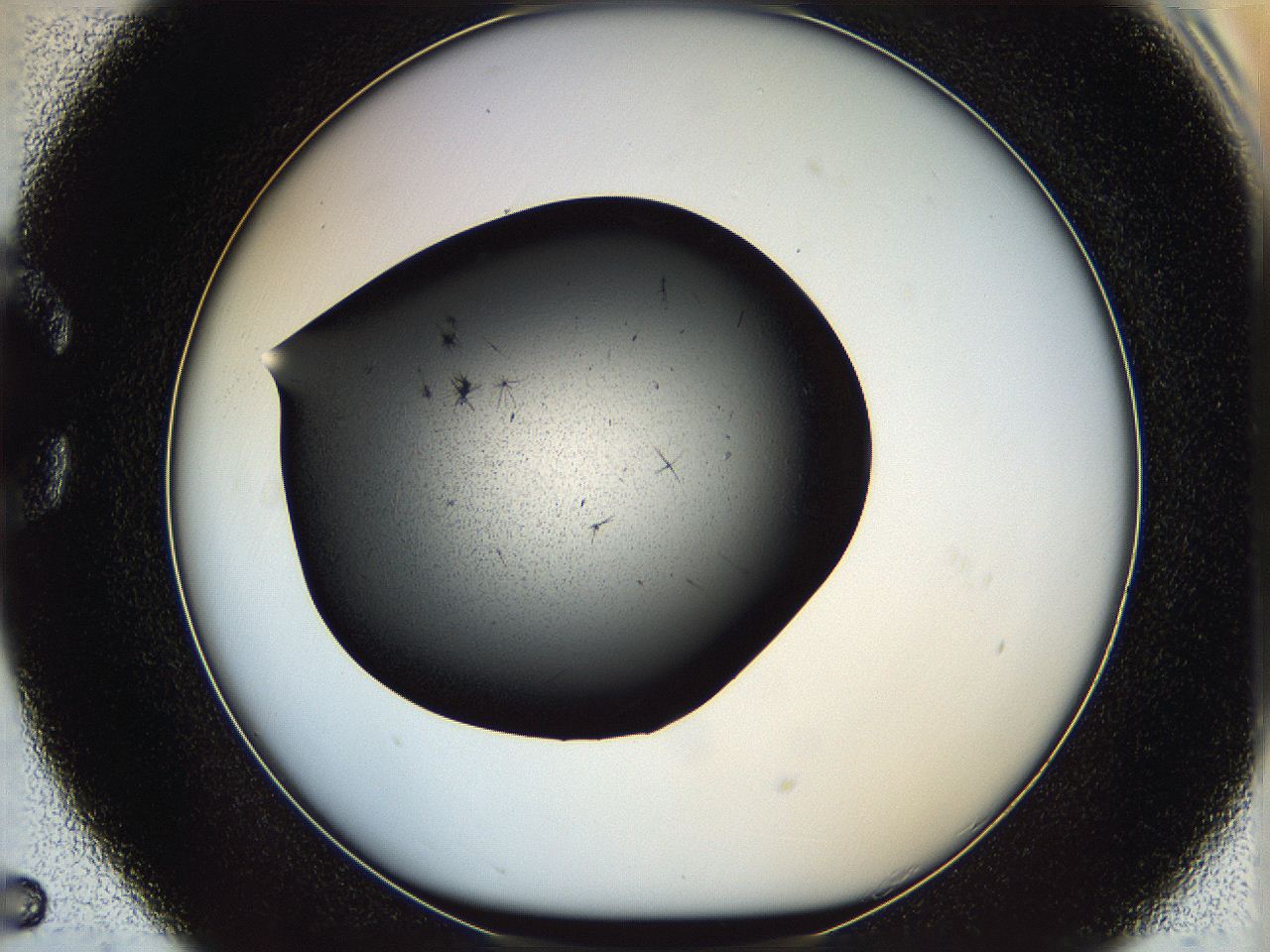 05yk_C5_ImagerDefaults_6.jpg