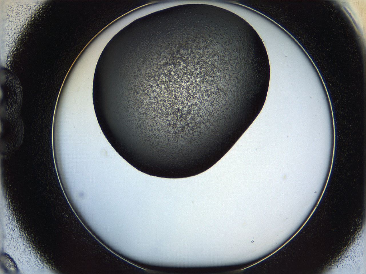 05yk_B9_ImagerDefaults_6.jpg