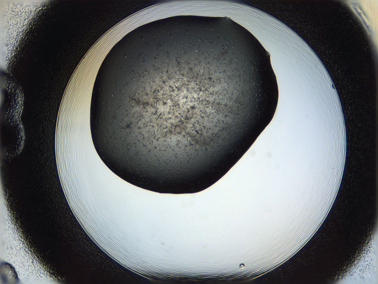 05yk_B8_ImagerDefaults_6.jpg