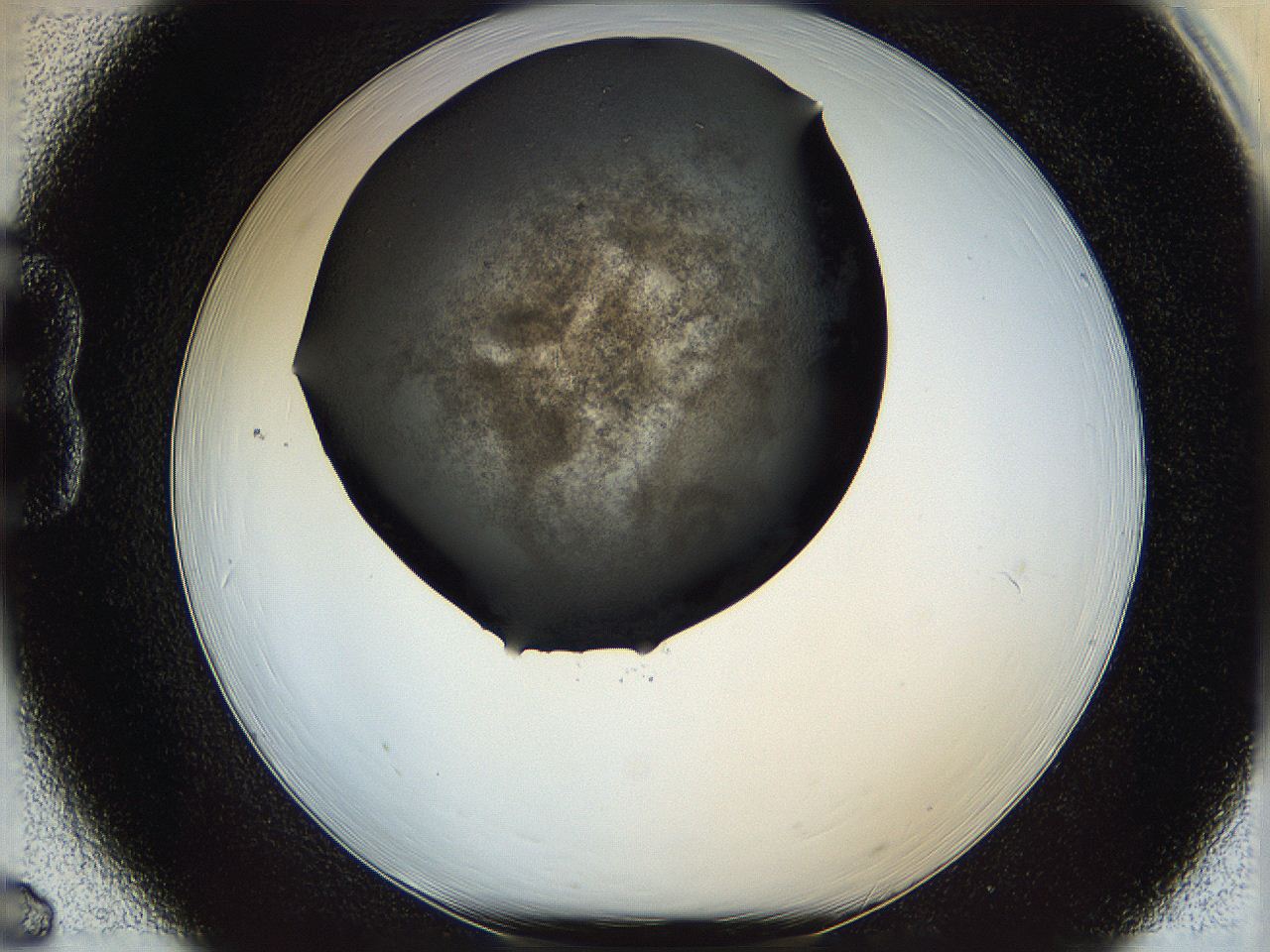 05yk_B6_ImagerDefaults_6.jpg