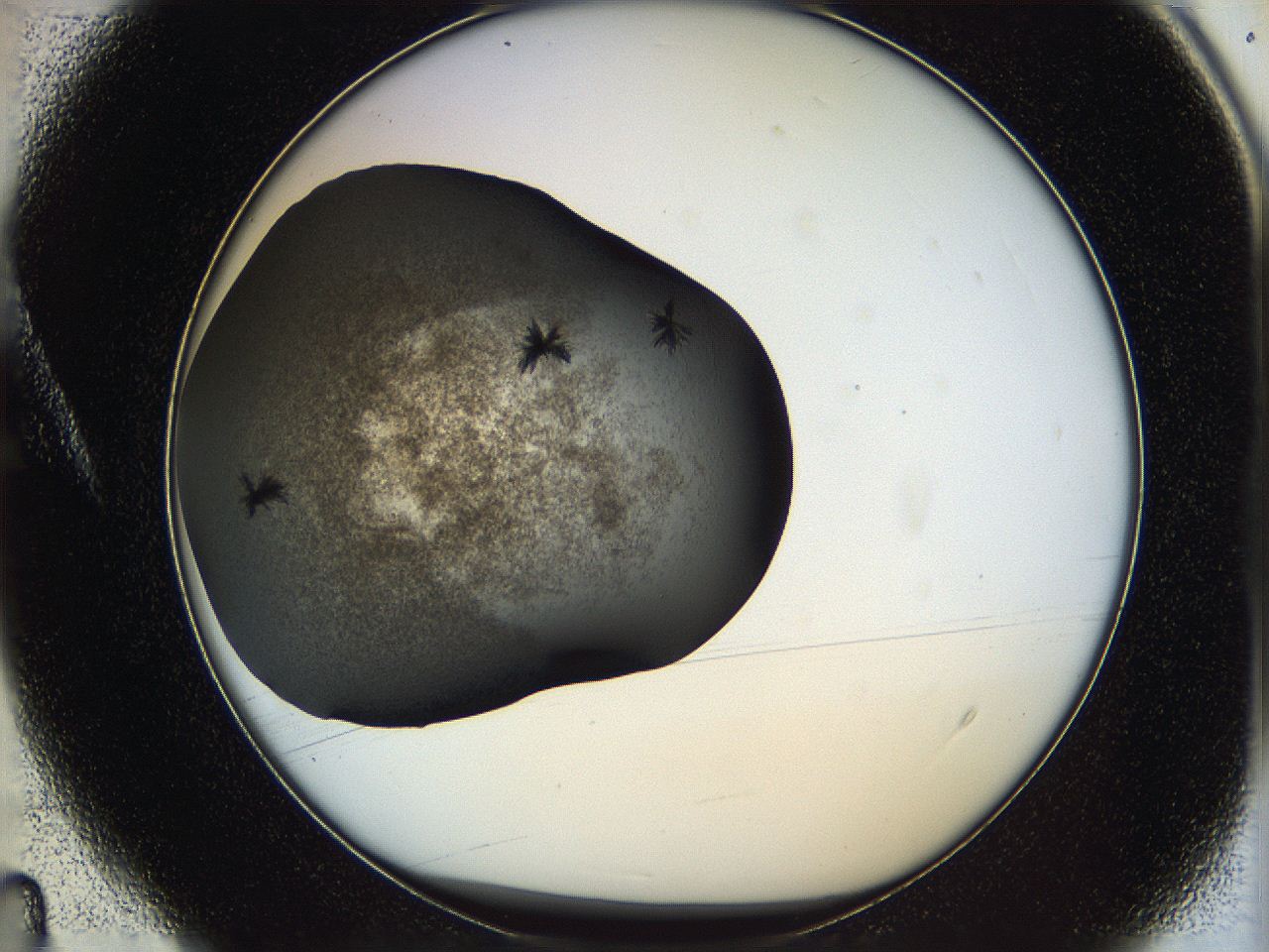 05yk_A4_ImagerDefaults_6.jpg