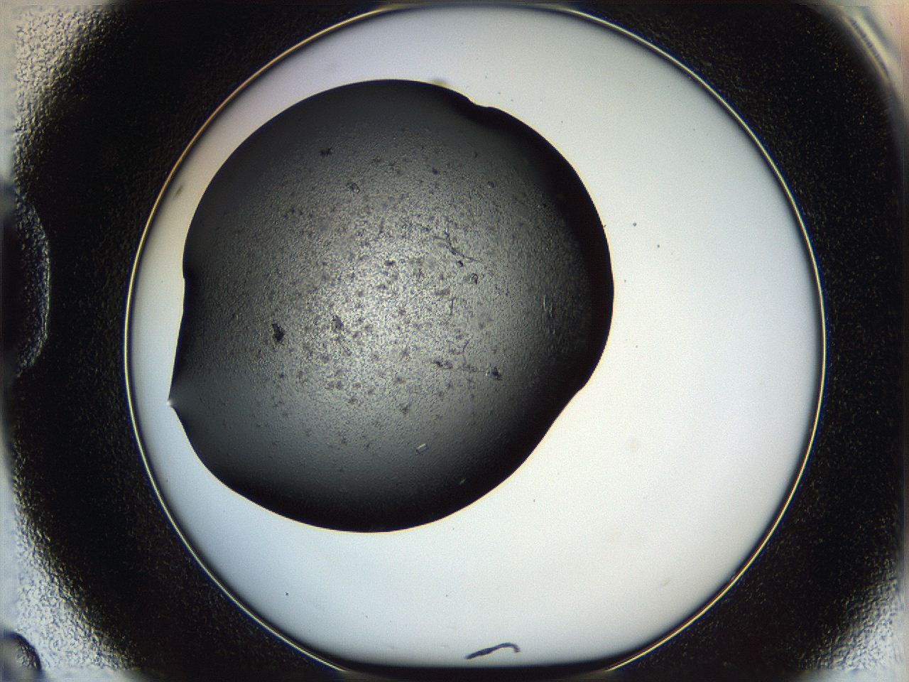 05yk_D8_ImagerDefaults_8.jpg
