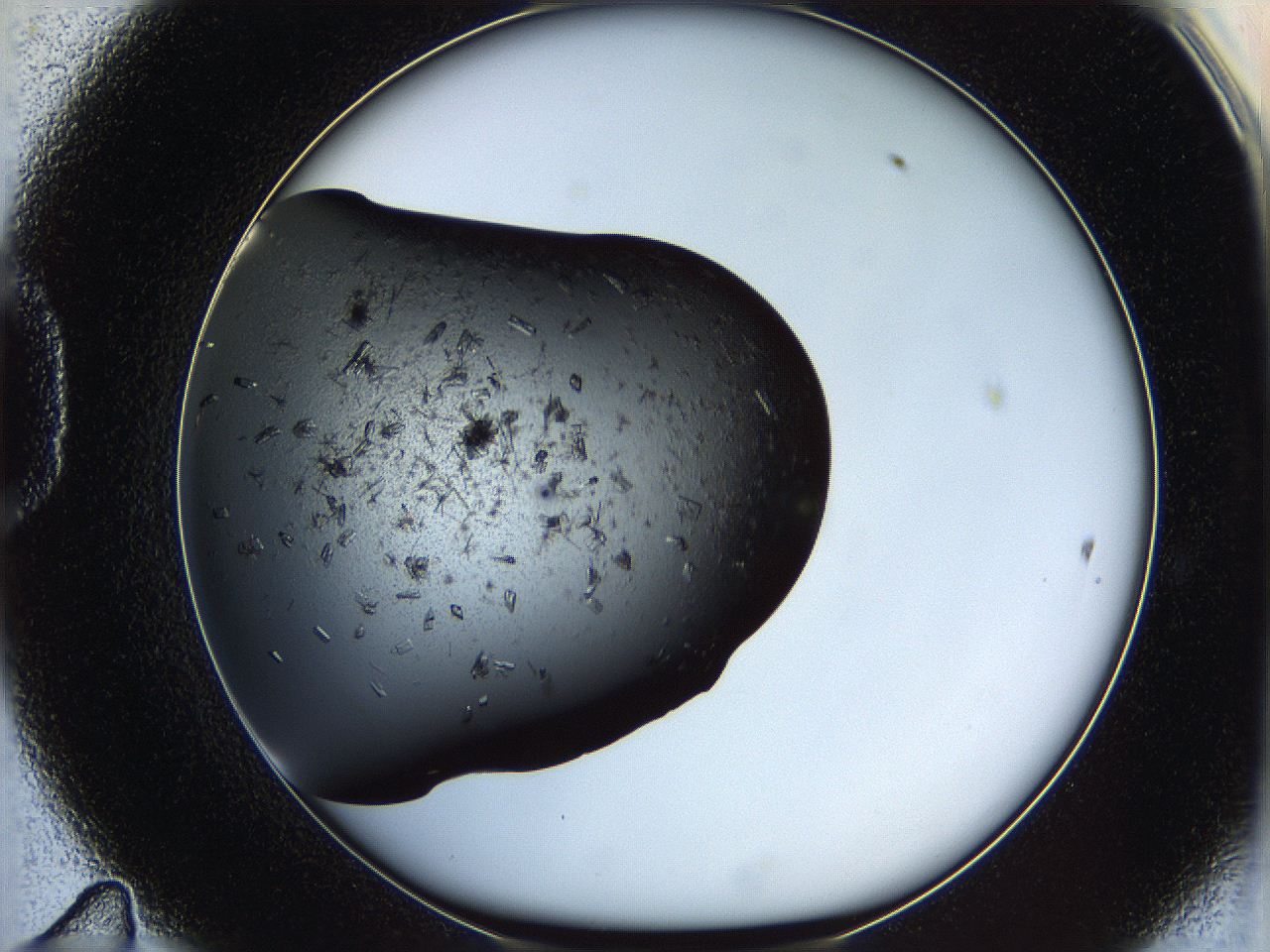 05yk_D11_ImagerDefaults_8.jpg