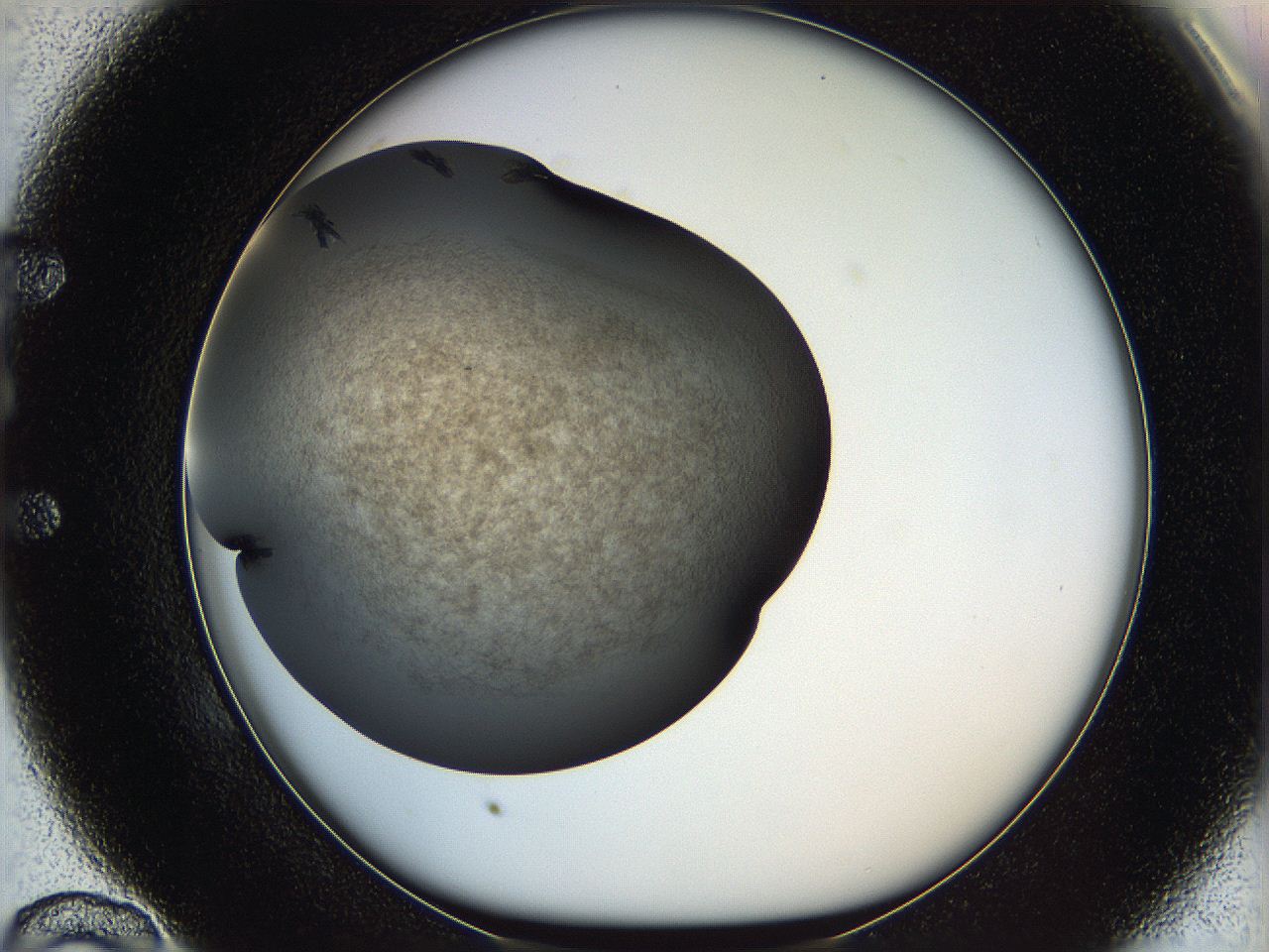 05yk_E10_ImagerDefaults_8.jpg
