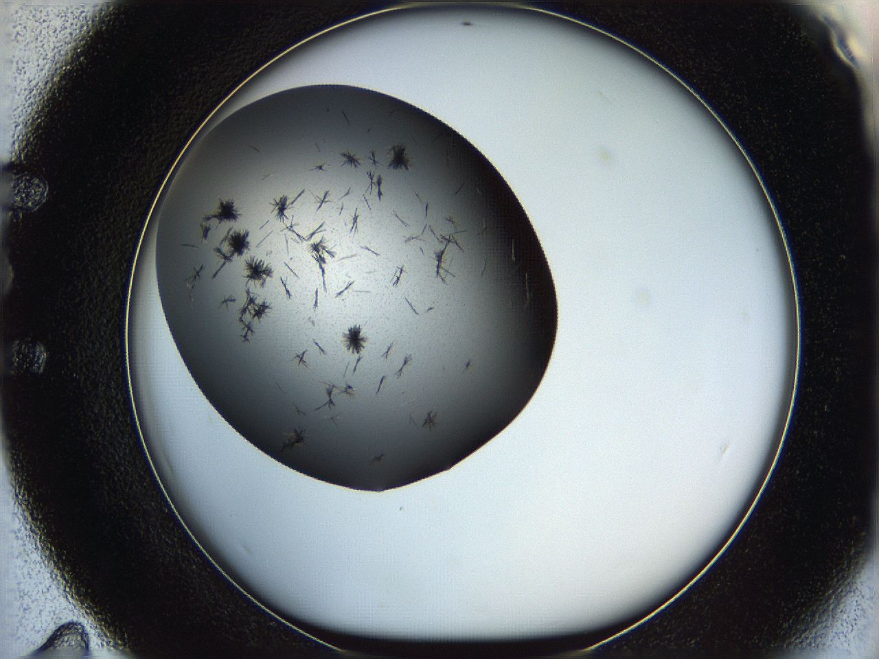 05yk_E11_ImagerDefaults_6.jpg