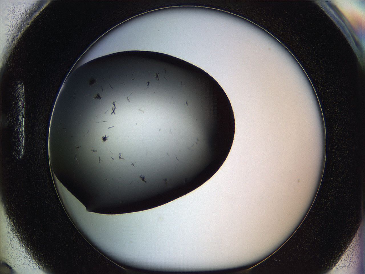 05yk_H6_ImagerDefaults_6.jpg