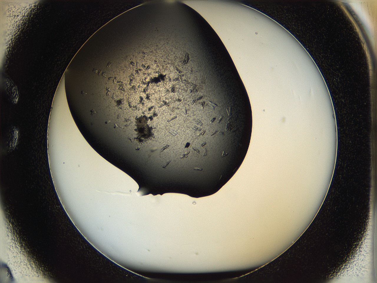 05yk_C2_ImagerDefaults_7.jpg