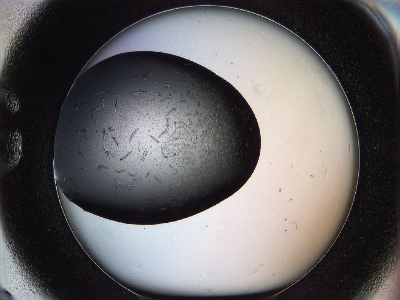 05yl_G8_ImagerDefaults_7.jpg