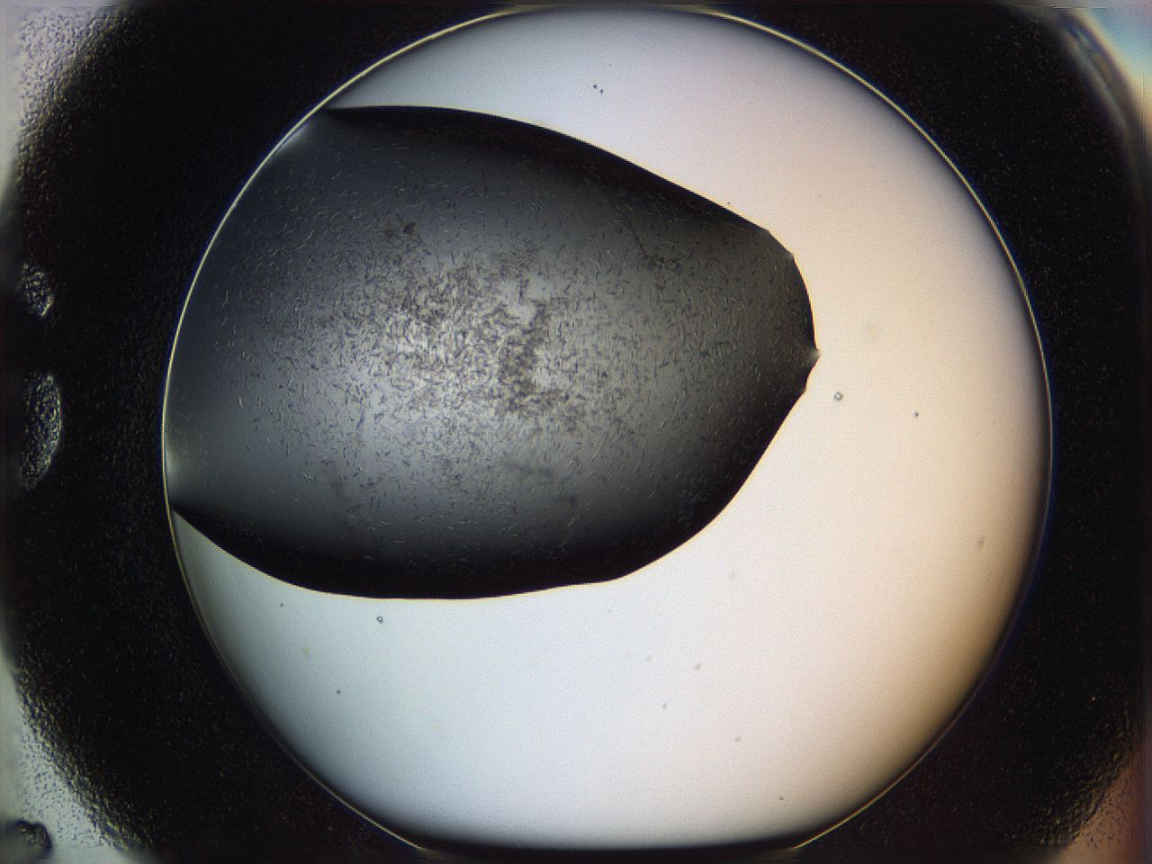 05yl_G7_ImagerDefaults_6.jpg