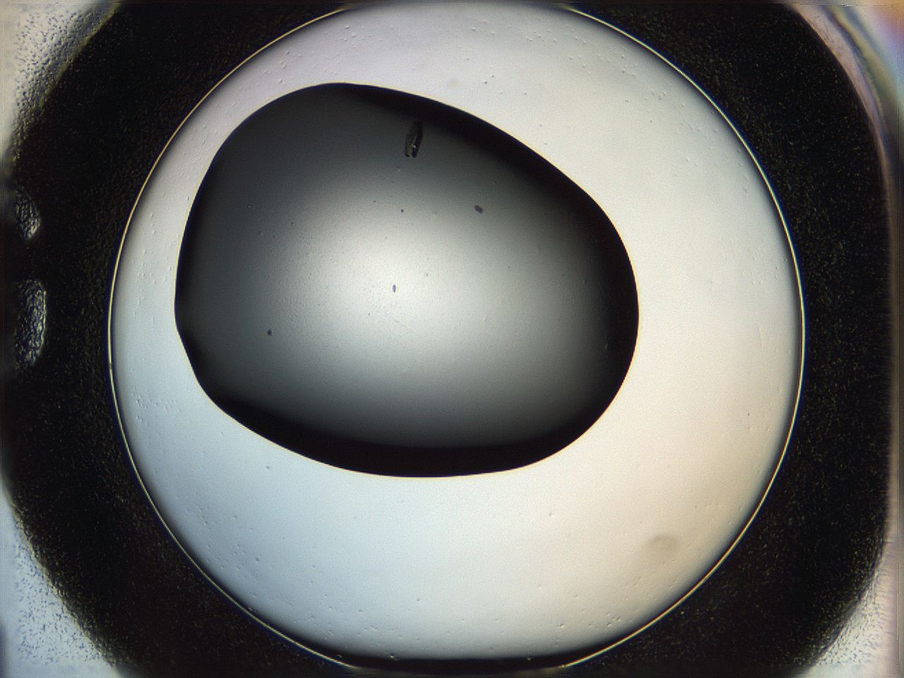 05yl_G1_ImagerDefaults_9.jpg