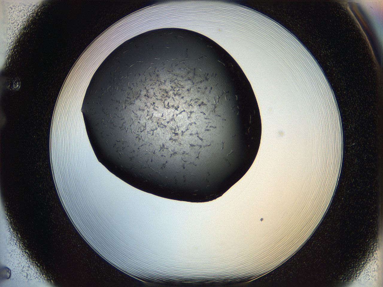 05yl_F5_ImagerDefaults_7.jpg