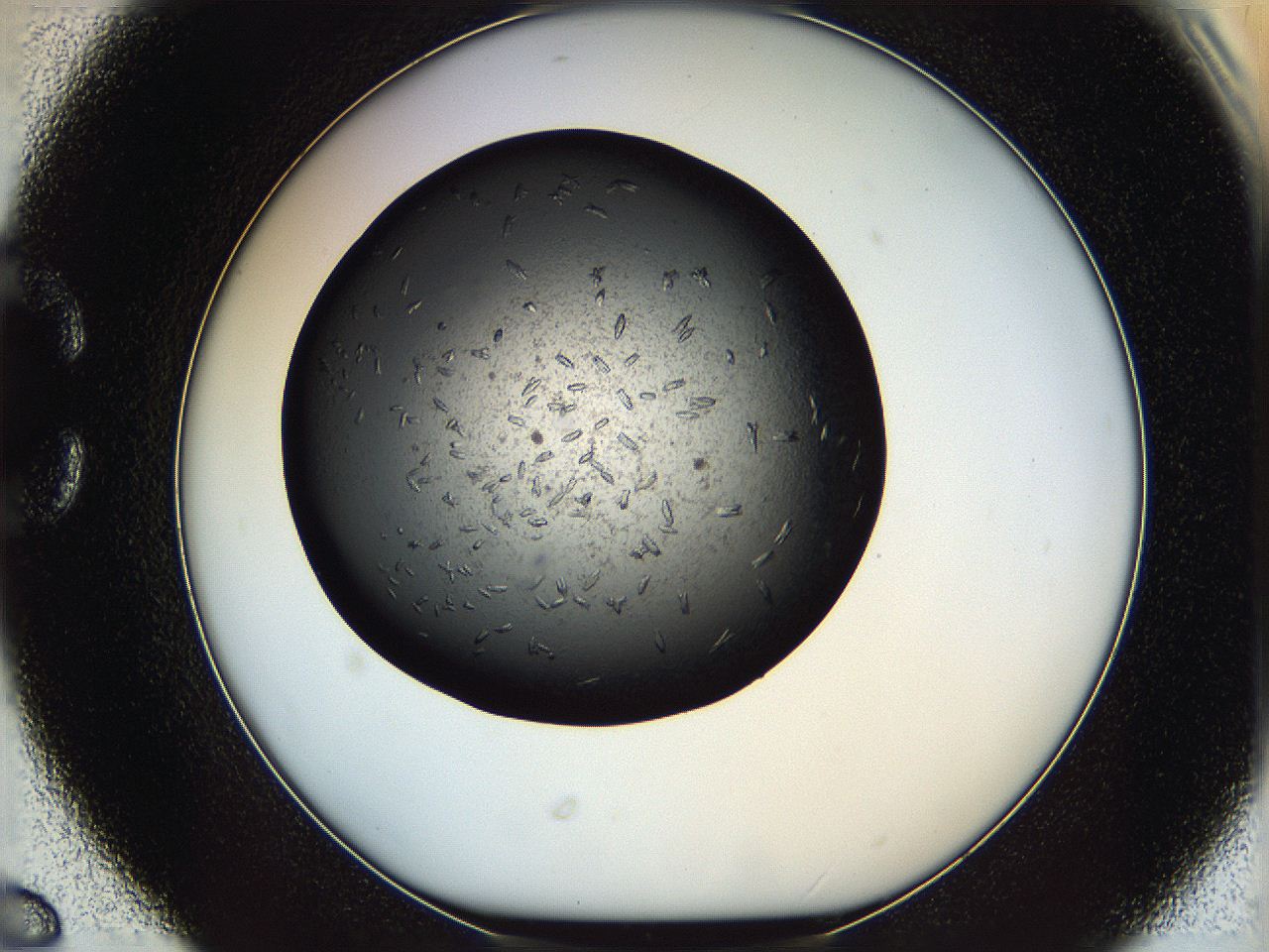 05yl_C6_ImagerDefaults_7.jpg