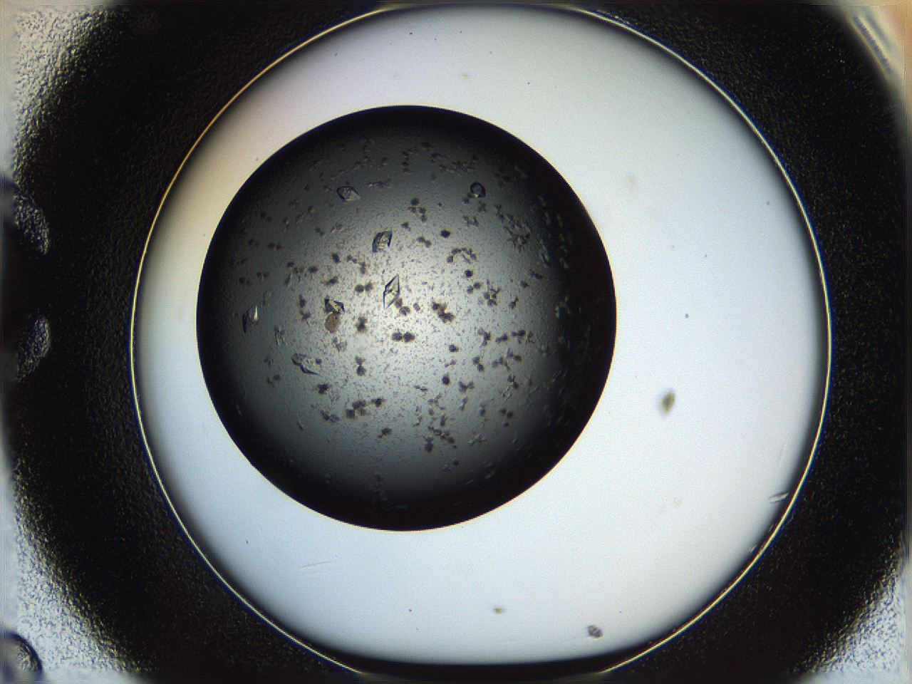 05yl_C8_ImagerDefaults_9.jpg