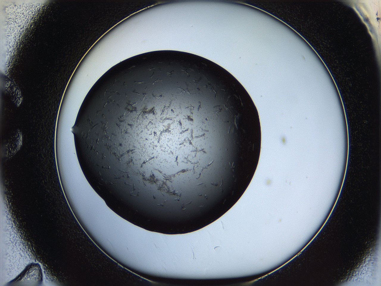05yl_C11_ImagerDefaults_7.jpg